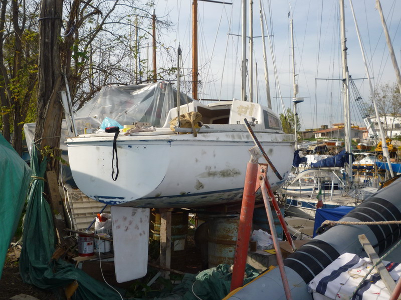 [Immagine: 2012828145419_Alpa 6.70 4_ridimensionare.JPG]
